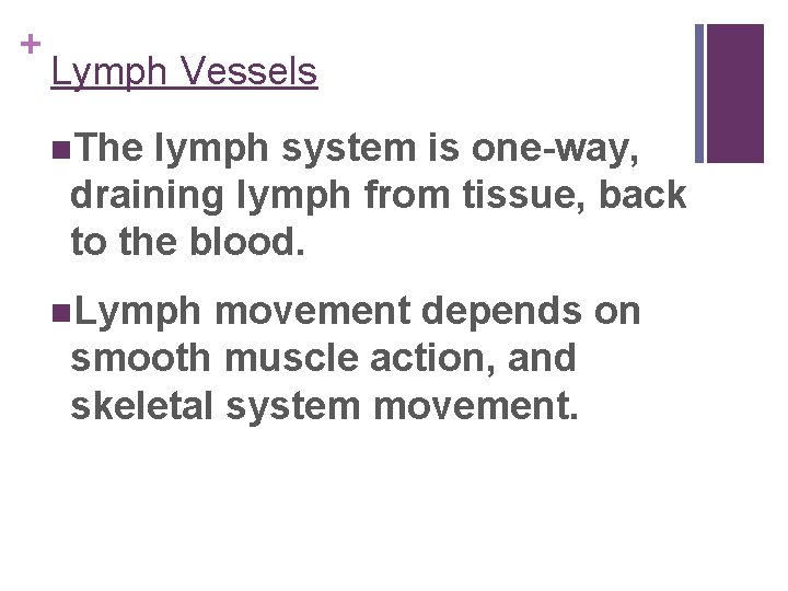 + Lymph Vessels n. The lymph system is one-way, draining lymph from tissue, back