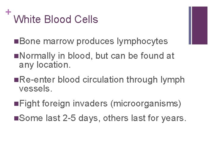 + White Blood Cells n. Bone marrow produces lymphocytes n. Normally in blood, but