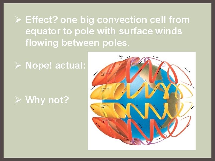 Ø Effect? one big convection cell from equator to pole with surface winds flowing