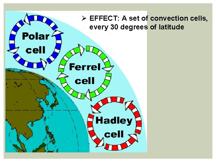 Ø EFFECT: A set of convection cells, every 30 degrees of latitude 