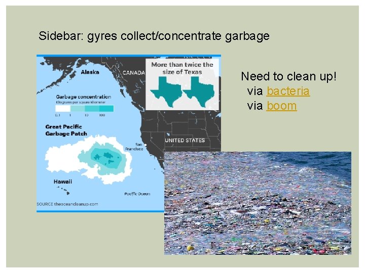 Sidebar: gyres collect/concentrate garbage Need to clean up! via bacteria via boom 