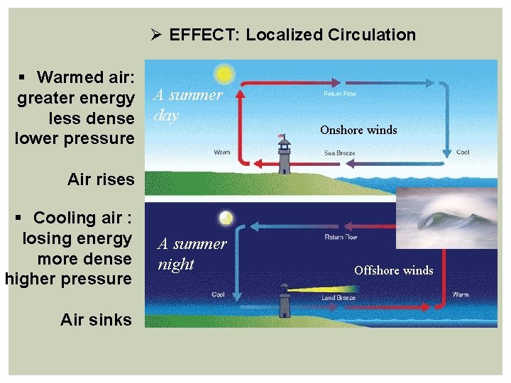 Ø EFFECT: Localized Circulation § Warmed air: greater energy less dense lower pressure A