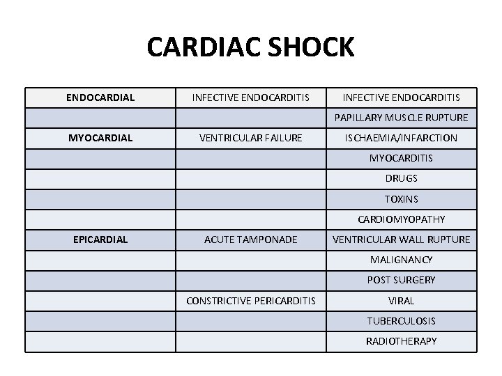 CARDIAC SHOCK ENDOCARDIAL INFECTIVE ENDOCARDITIS PAPILLARY MUSCLE RUPTURE MYOCARDIAL VENTRICULAR FAILURE ISCHAEMIA/INFARCTION MYOCARDITIS DRUGS