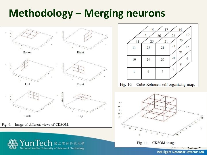 Methodology – Merging neurons Intelligent Database Systems Lab 