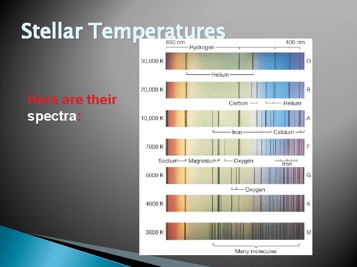 Stellar Temperatures Here are their spectra: 