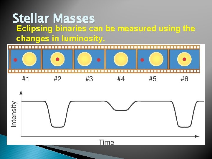 Stellar Masses Eclipsing binaries can be measured using the changes in luminosity. 