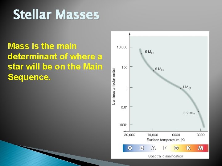 Stellar Masses Mass is the main determinant of where a star will be on