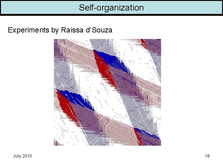 Self-organization Experiments by Raissa d’Souza July 2010 18 