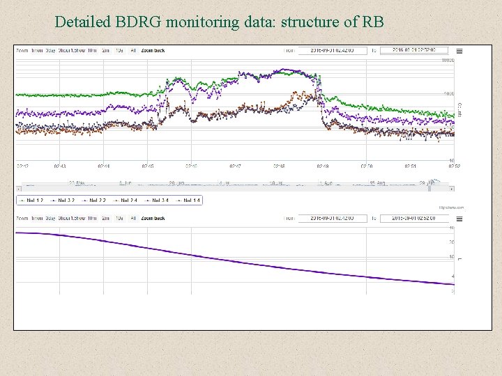Detailed BDRG monitoring data: structure of RB 