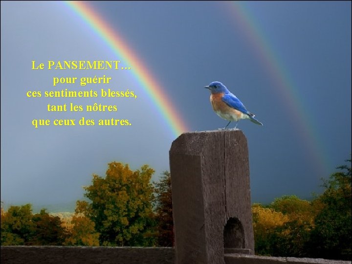 Le PANSEMENT… pour guérir ces sentiments blessés, tant les nôtres que ceux des autres.