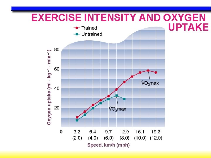 EXERCISE INTENSITY AND OXYGEN UPTAKE 
