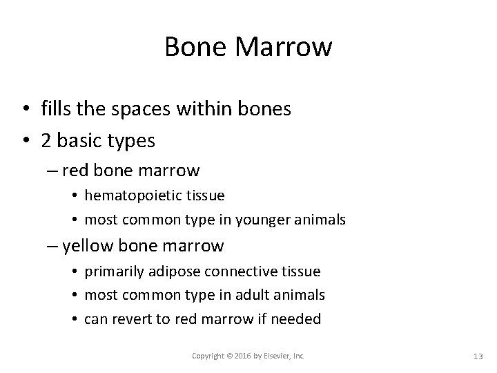 Bone Marrow • fills the spaces within bones • 2 basic types – red