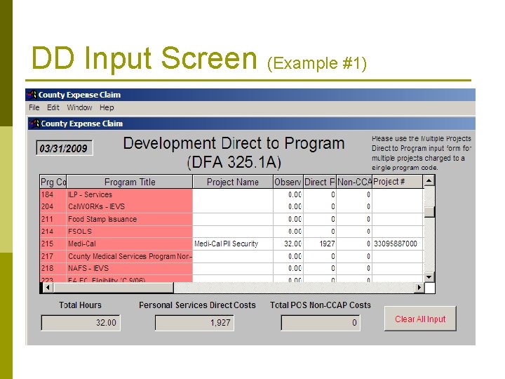 DD Input Screen (Example #1) 