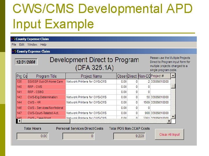 CWS/CMS Developmental APD Input Example 