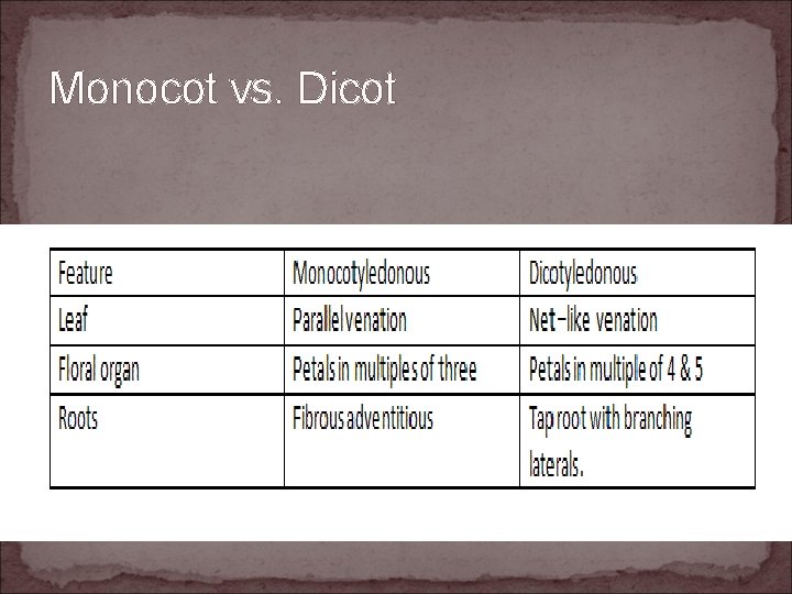 Monocot vs. Dicot 