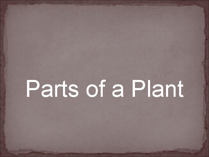 Parts of a Plant 