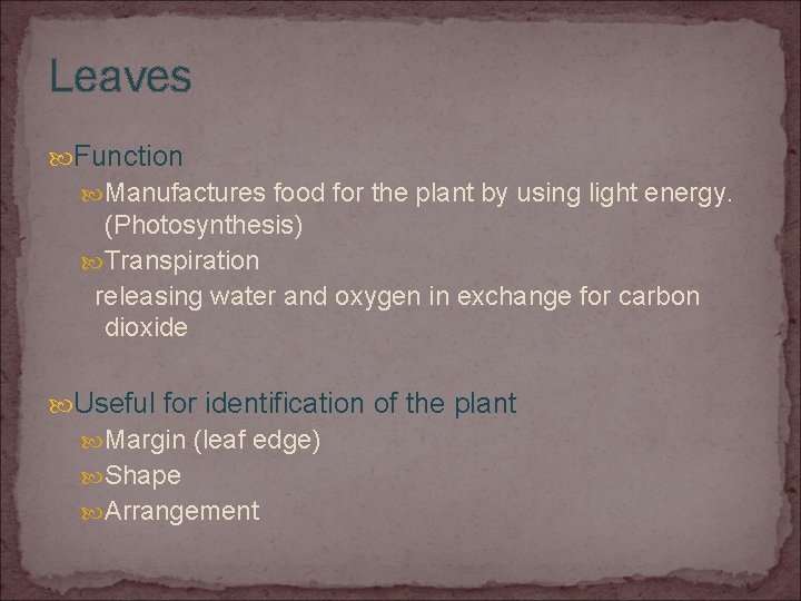 Leaves Function Manufactures food for the plant by using light energy. (Photosynthesis) Transpiration releasing