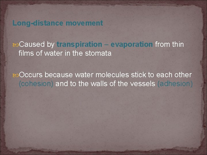 Long-distance movement Caused by transpiration – evaporation from thin films of water in the