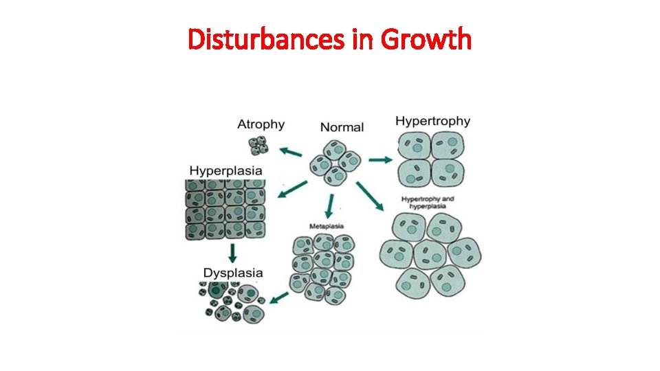 Disturbances in Growth 
