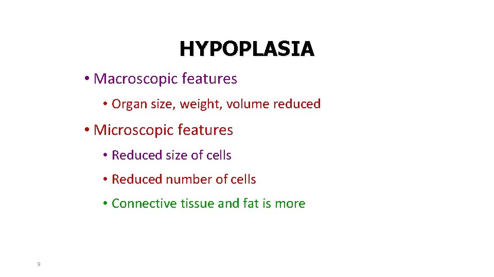 HYPOPLASIA • Macroscopic features • Organ size, weight, volume reduced • Microscopic features •