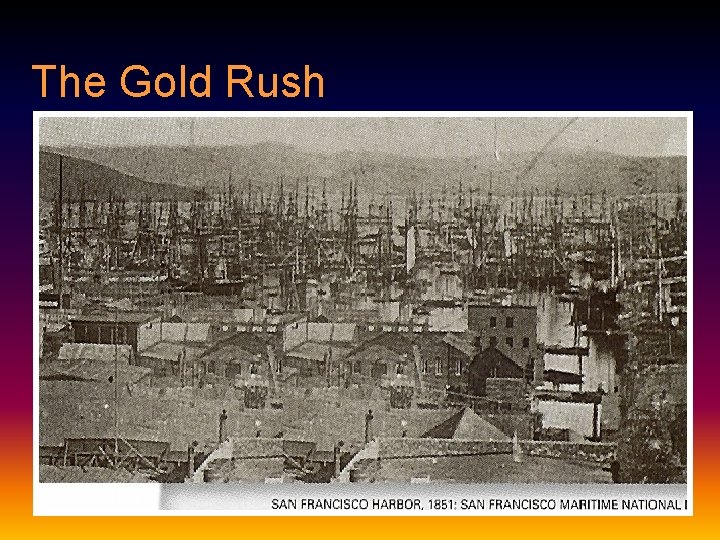 The Gold Rush 