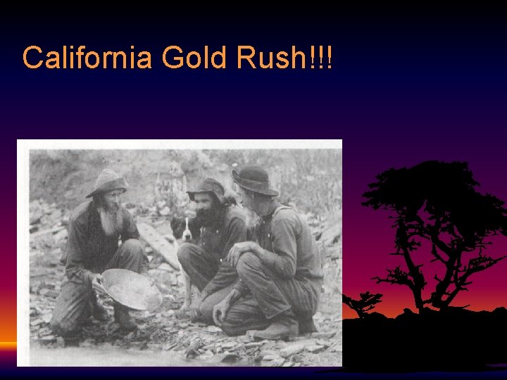 California Gold Rush!!! 