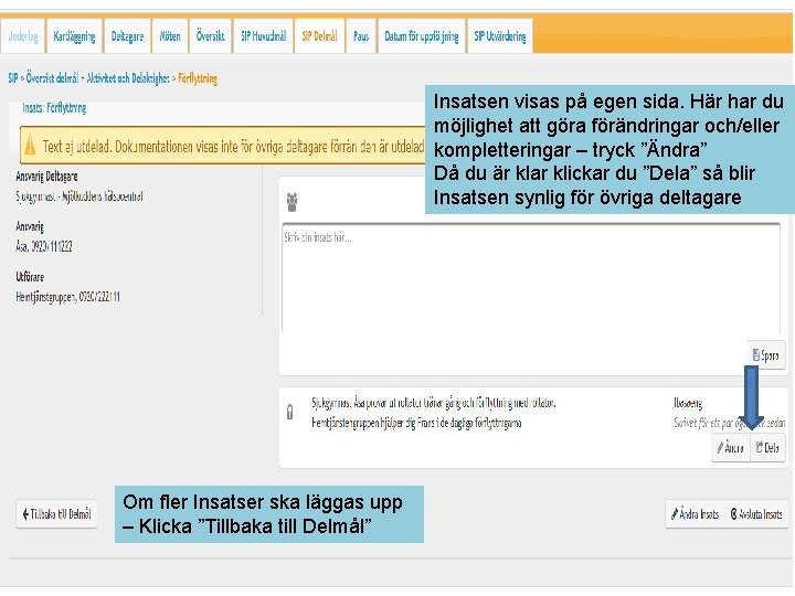 Insatsen visas på egen sida. Här har du möjlighet att göra förändringar och/eller kompletteringar