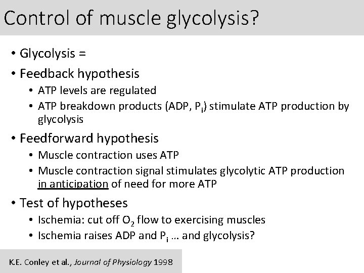 Control of muscle glycolysis? • Glycolysis = • Feedback hypothesis • ATP levels are