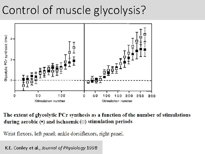 Control of muscle glycolysis? K. E. Conley et al. , Journal of Physiology 1998