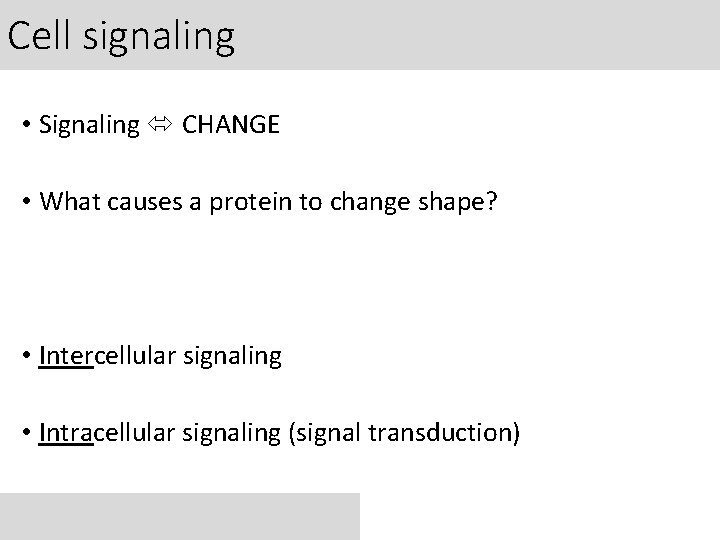Cell signaling • Signaling CHANGE • What causes a protein to change shape? •