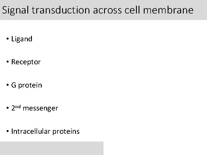 Signal transduction across cell membrane • Ligand • Receptor • G protein • 2