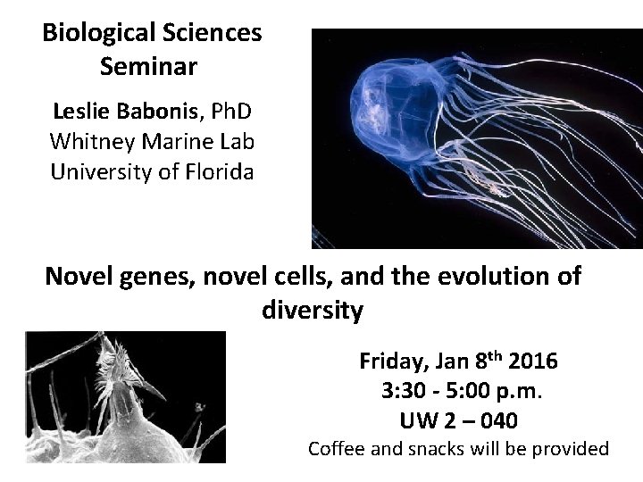 Biological Sciences Seminar Leslie Babonis, Ph. D Whitney Marine Lab University of Florida Novel