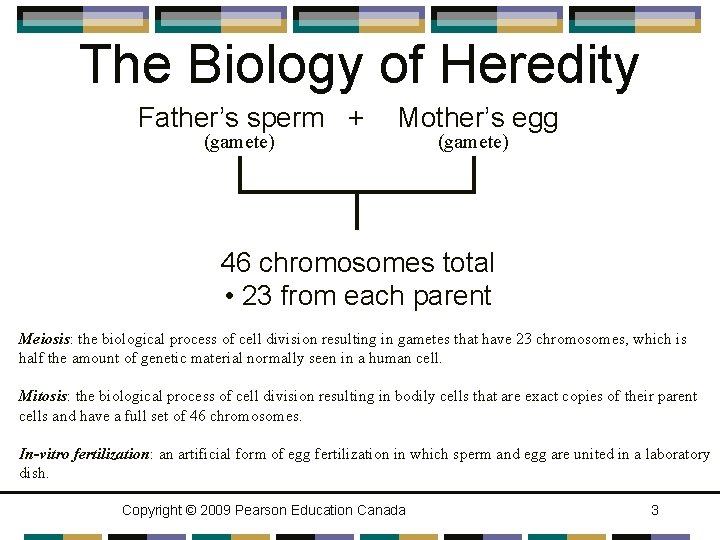 The Biology of Heredity Father’s sperm + (gamete) Mother’s egg (gamete) 46 chromosomes total