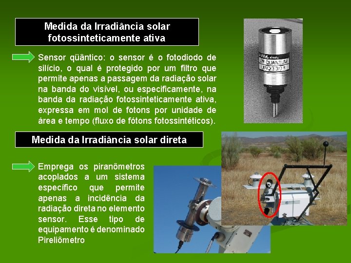 Medida da Irradiância solar fotossinteticamente ativa Sensor qüântico: o sensor é o fotodiodo de