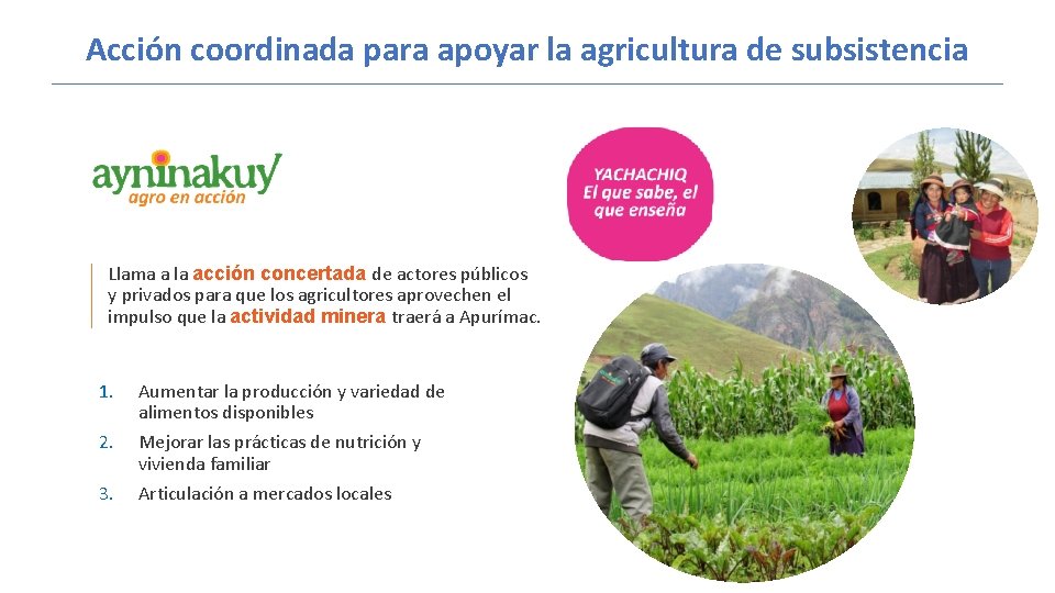 Acción coordinada para apoyar la agricultura de subsistencia Llama a la acción concertada de