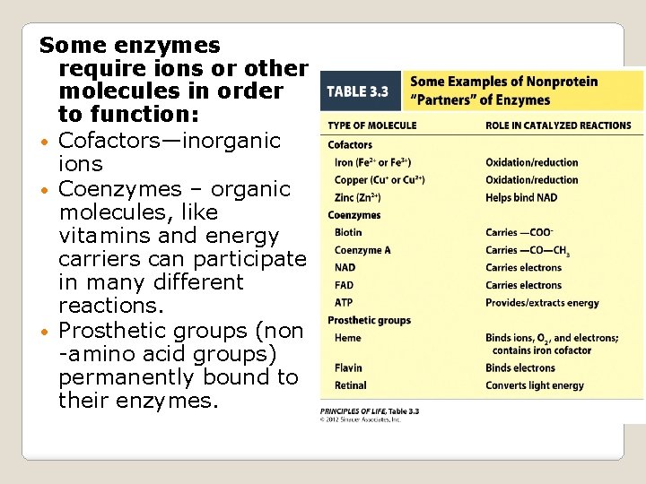 Some enzymes require ions or other molecules in order to function: • Cofactors—inorganic ions
