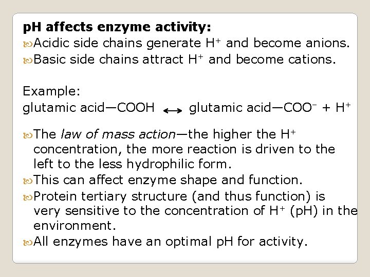 p. H affects enzyme activity: Acidic side chains generate H+ and become anions. Basic