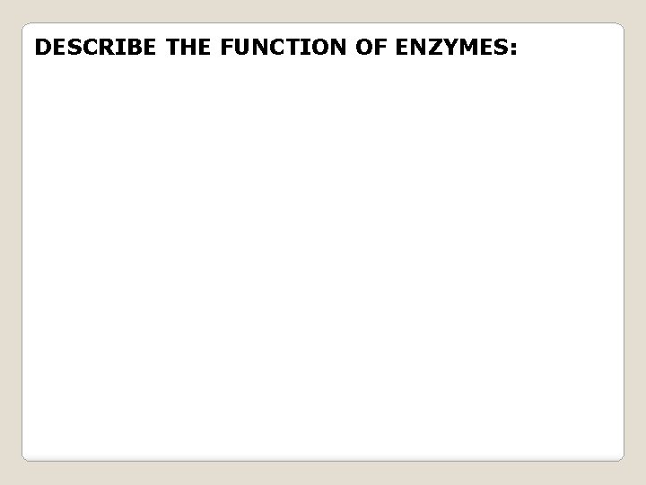 DESCRIBE THE FUNCTION OF ENZYMES: 