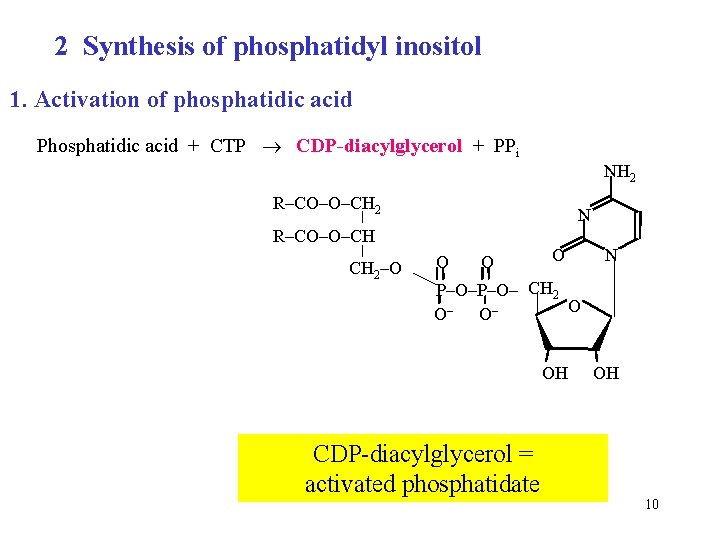 2 Synthesis of phosphatidyl inositol 1. Activation of phosphatidic acid Phosphatidic acid + CTP