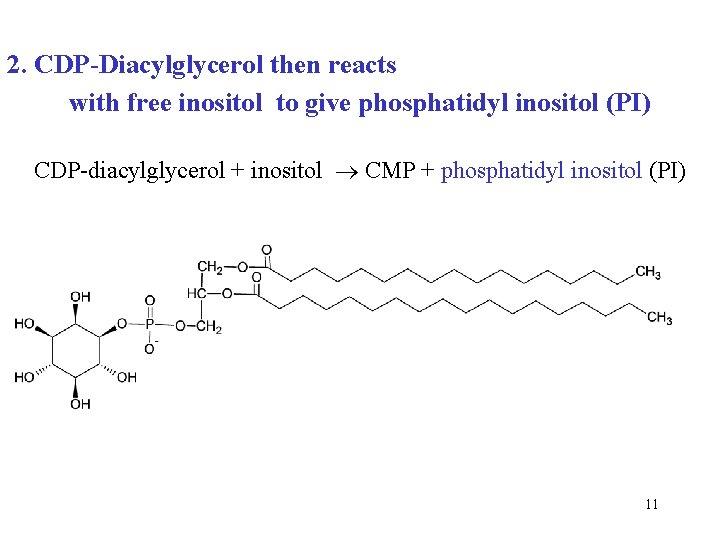 2. CDP-Diacylglycerol then reacts with free inositol to give phosphatidyl inositol (PI) CDP-diacylglycerol +