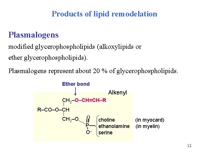 Products of lipid remodelation Plasmalogens modified glycerophospholipids (alkoxylipids or ether glycerophospholipids). Plasmalogens represent about