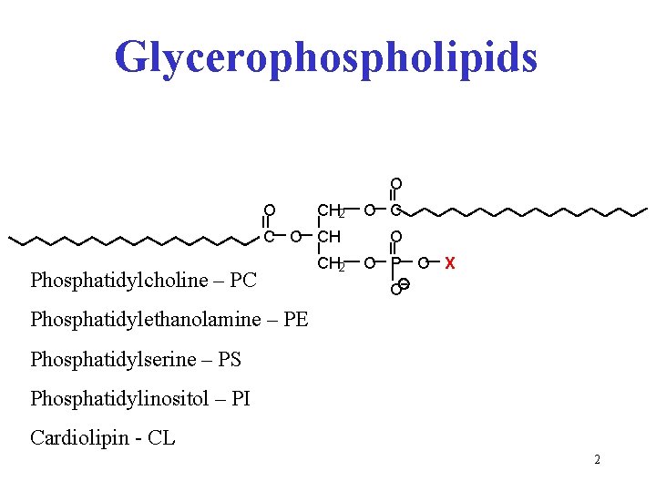 Glycerophospholipids O O CH 2 C O CH Phosphatidylcholine – PC CH 2 O