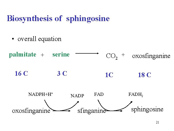 Biosynthesis of sphingosine • overall equation palmitate + serine 16 C CO 2 +