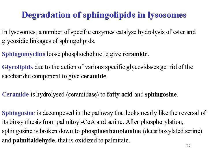 Degradation of sphingolipids in lysosomes In lysosomes, a number of specific enzymes catalyse hydrolysis