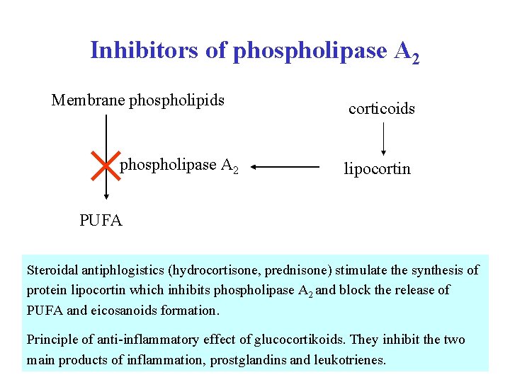 Inhibitors of phospholipase A 2 Membrane phospholipids phospholipase A 2 corticoids lipocortin PUFA Steroidal