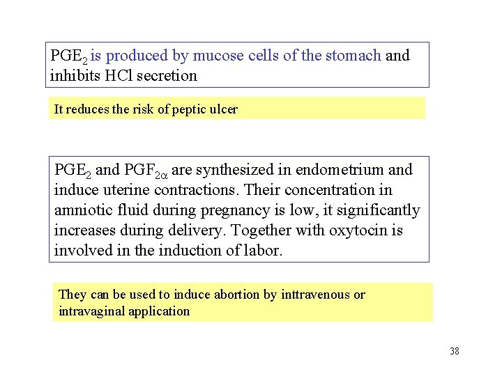 PGE 2 is produced by mucose cells of the stomach and inhibits HCl secretion