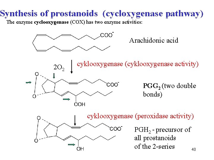 Synthesis of prostanoids (cycloxygenase pathway) The enzyme cyclooxygenase (COX) has two enzyme activities: Arachidonic