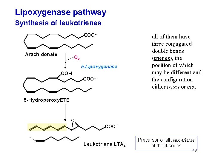 Lipoxygenase pathway Synthesis of leukotrienes COO– Arachidonate O 2 5 -Lipoxygenase OOH COO– all