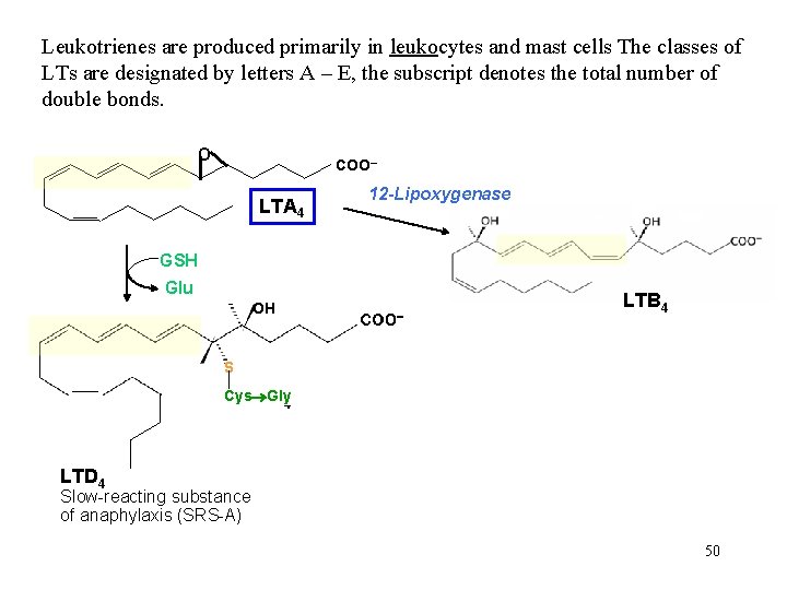 Leukotrienes are produced primarily in leukocytes and mast cells The classes of LTs are