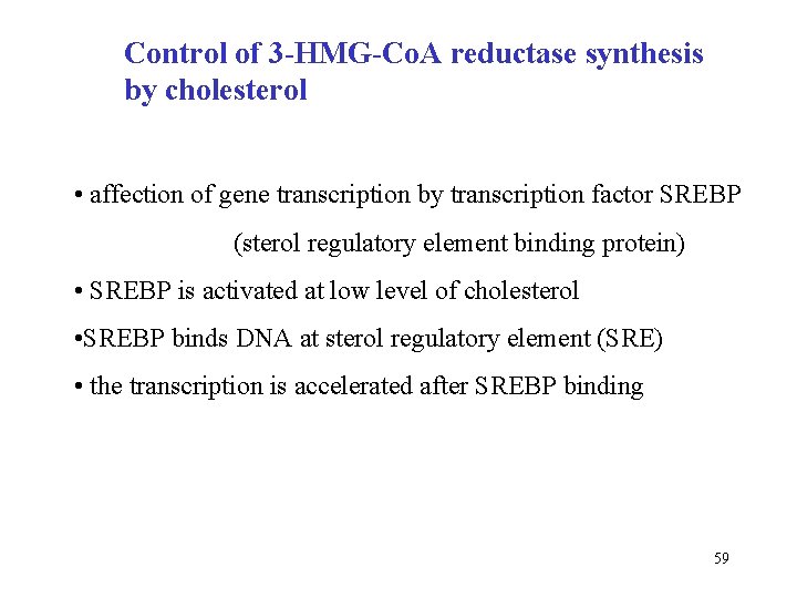 Control of 3 -HMG-Co. A reductase synthesis by cholesterol • affection of gene transcription